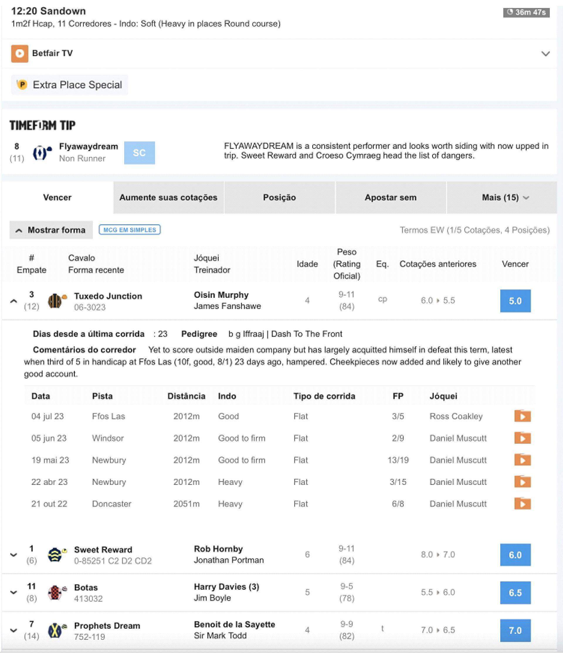 screenshot mostra uma página de apostas em corrida de cavalo